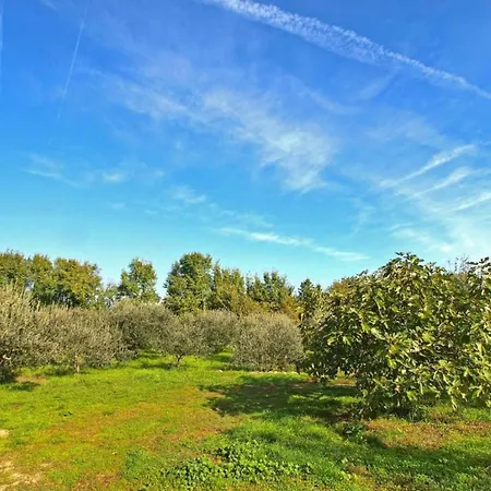 In Fa Ana Near Valbandon Fazana
