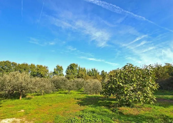 In Fa Ana Near Valbandon Fažana